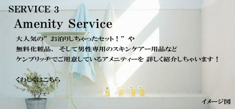 Amenity Service